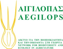 logo aigilops 1